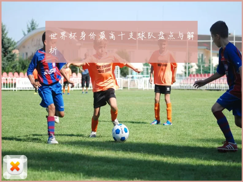 世界杯身价最高十支球队盘点与解析