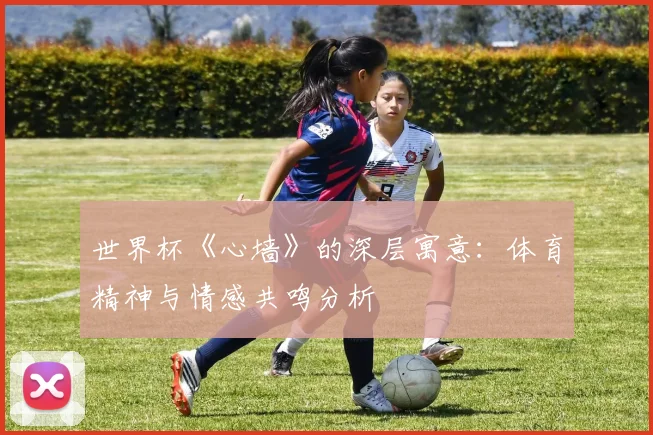 世界杯《心墙》的深层寓意:体育精神与情感共鸣分析