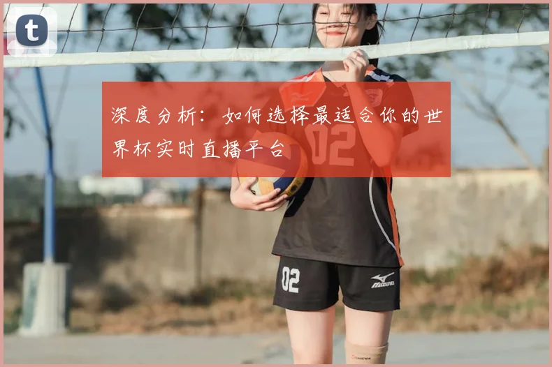 深度分析:如何选择最适合你的世界杯实时直播平台