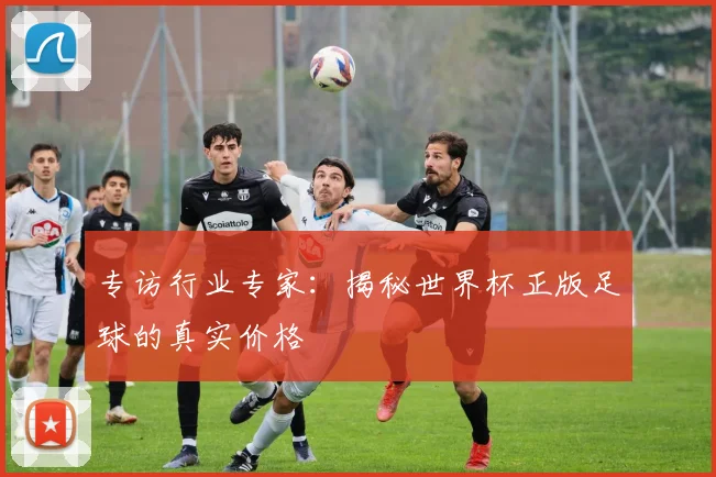 专访行业专家：揭秘世界杯正版足球的真实价格