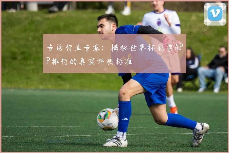 专访行业专家：揭秘世界杯彩票APP排行的真实评测标准