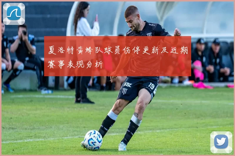 夏洛特黄蜂队球员伤停更新及近期赛事表现分析