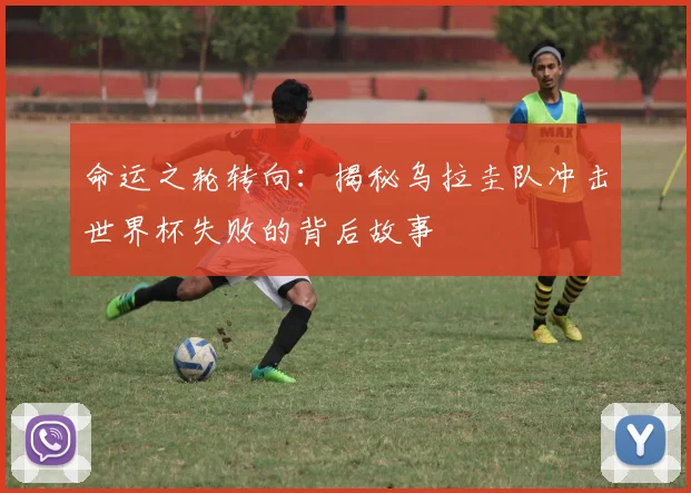 命运之轮转向：揭秘乌拉圭队冲击世界杯失败的背后故事