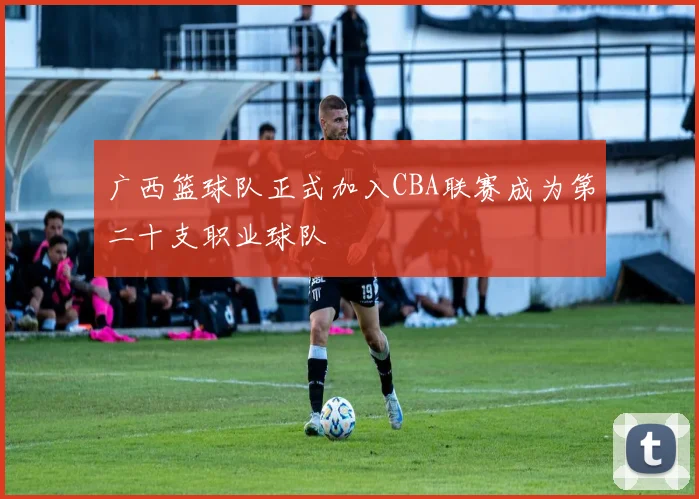 广西篮球队正式加入CBA联赛成为第二十支职业球队