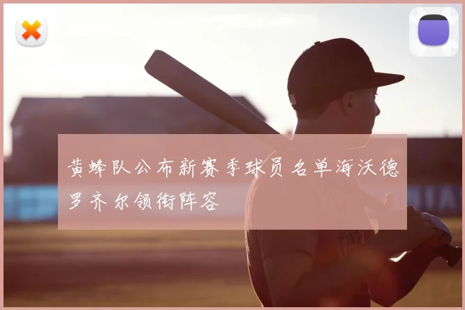黄蜂队公布新赛季球员名单海沃德罗齐尔领衔阵容