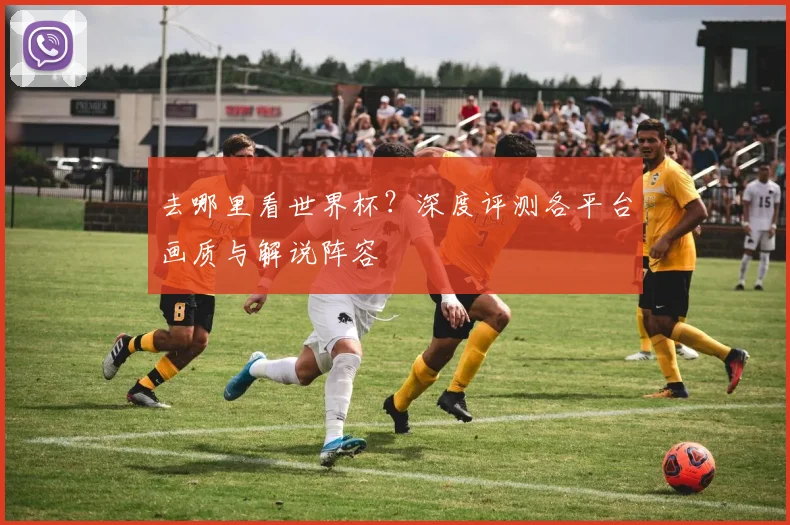 去哪里看世界杯?深度评测各平台画质与解说阵容