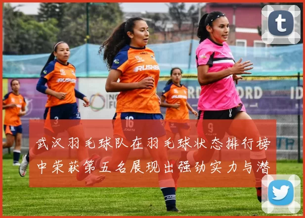 武汉羽毛球队在羽毛球状态排行榜中荣获第五名展现出强劲实力与潜力