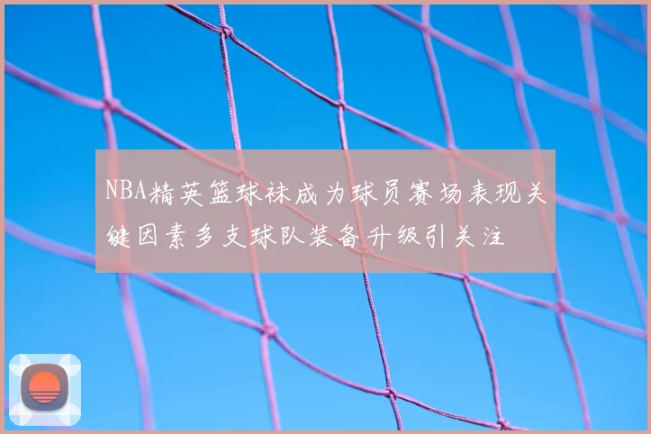 NBA精英篮球袜成为球员赛场表现关键因素多支球队装备升级引关注