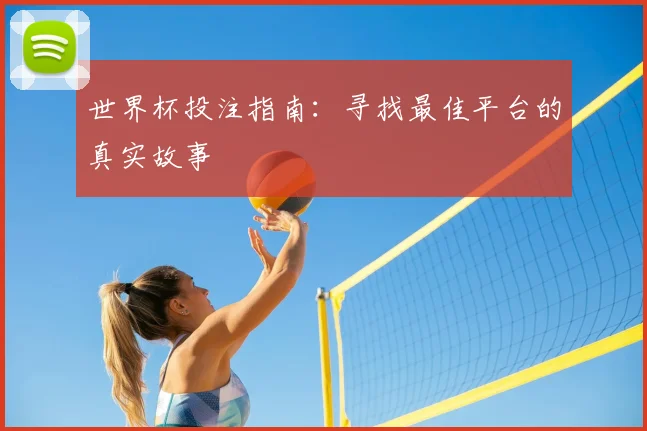 世界杯投注指南:寻找最佳平台的真实故事