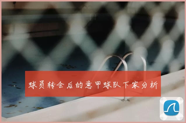 球员转会后的意甲球队下家分析