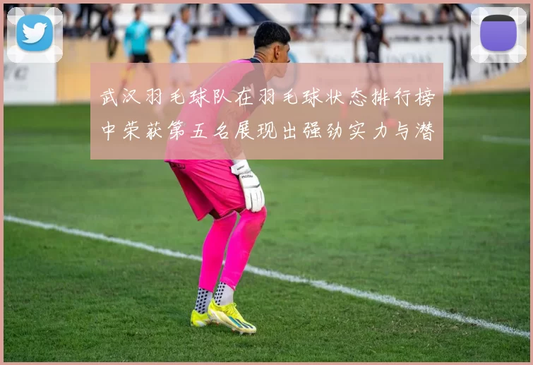 武汉羽毛球队在羽毛球状态排行榜中荣获第五名展现出强劲实力与潜力