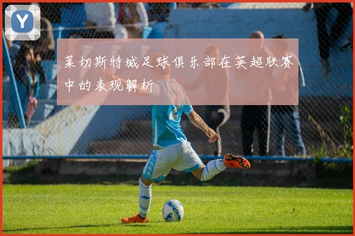 莱切斯特城足球俱乐部在英超联赛中的表现解析