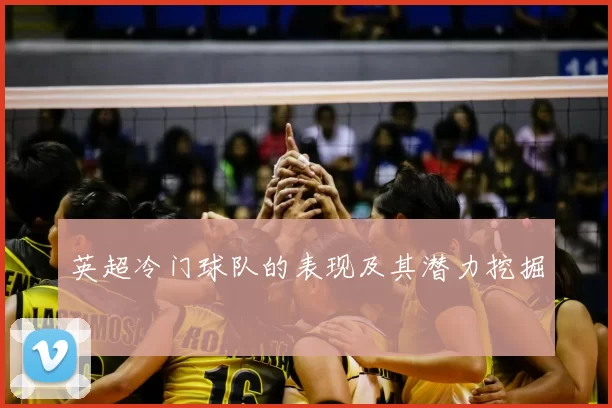 英超冷门球队的表现及其潜力挖掘