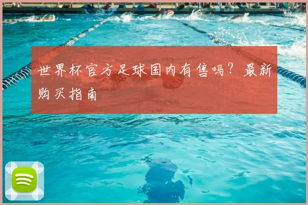 世界杯官方足球国内有售吗?最新购买指南