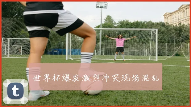 世界杯爆发激烈冲突现场混乱