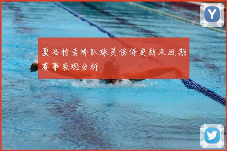 夏洛特黄蜂队球员伤停更新及近期赛事表现分析